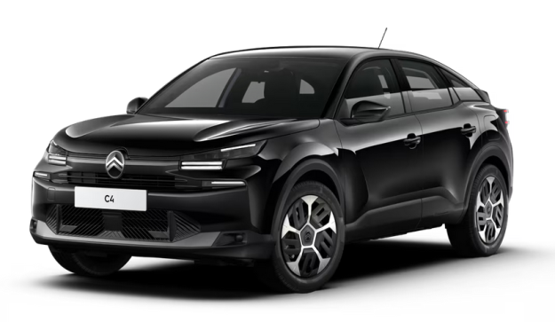 Miniature 9010-115697-20250410150658_g.png 