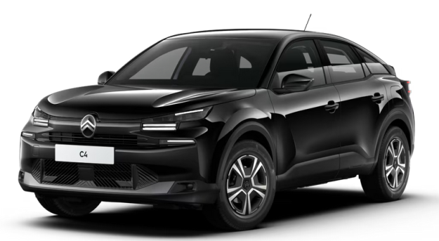 Miniature 9011-115699-20250410152011_g.png 